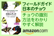 フィールドガイド 日本のチョウ